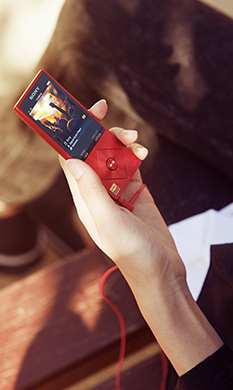 Digital Audio Players