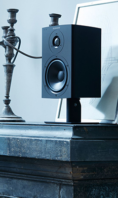 Desktop/Home Speakers