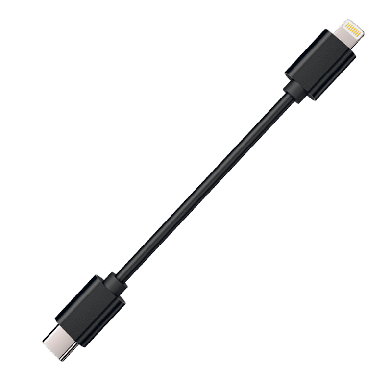 Cayin CS-L2C	Lightning to USB-C Cable