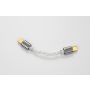 iBasso CB18 Premium USB-C to USB-C OTG Cable