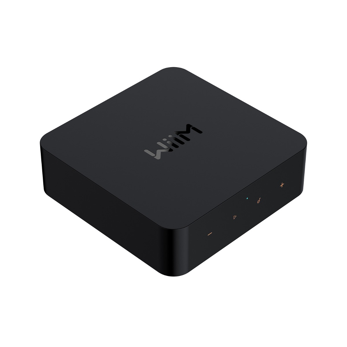 WiiM Pro Audio Streaming