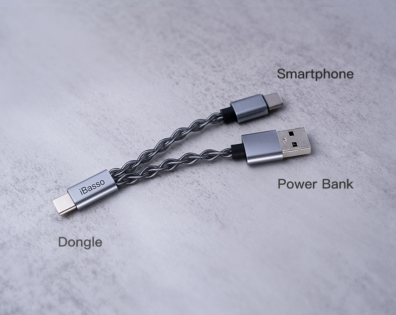 iBasso CB19 diagram depicting USB-A and USB-C connectors with label