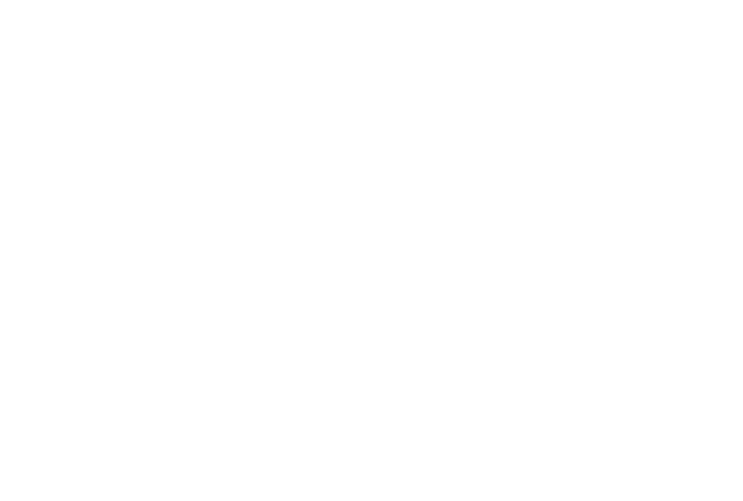 visionears
