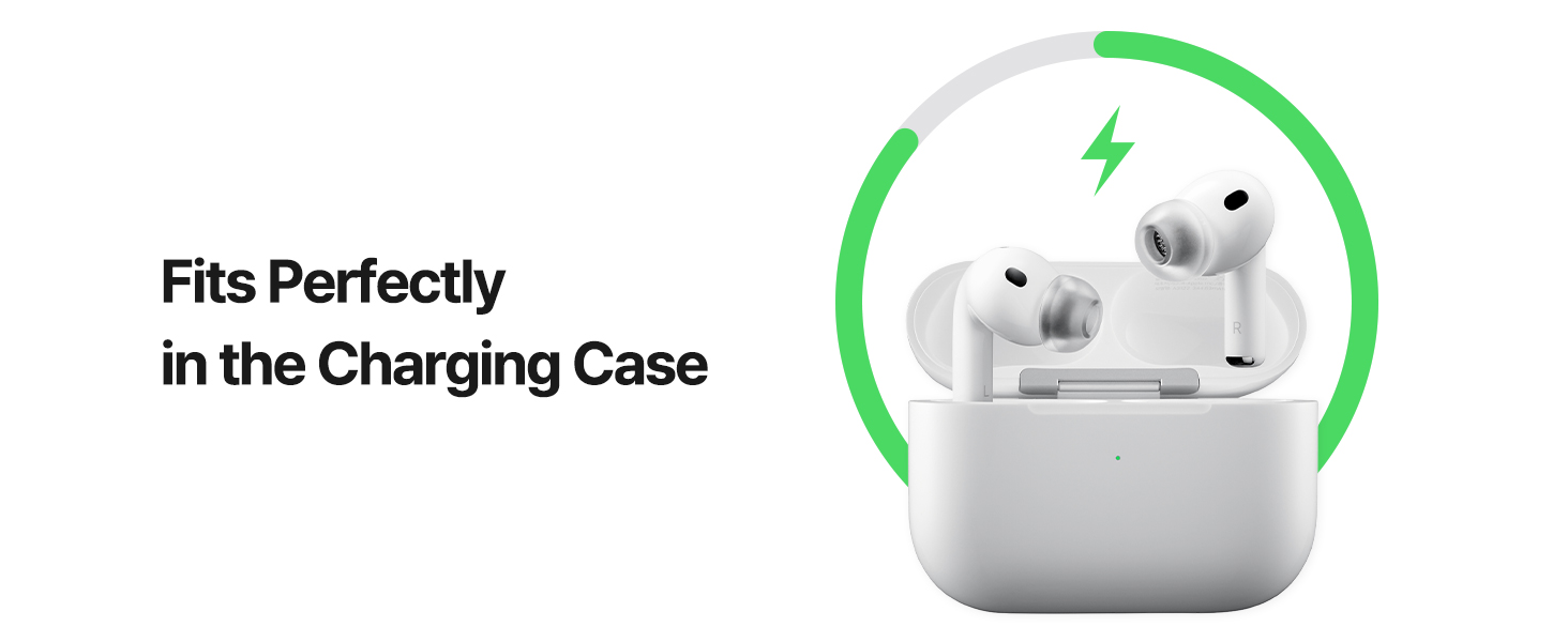 Fits perfectly in the charging case.